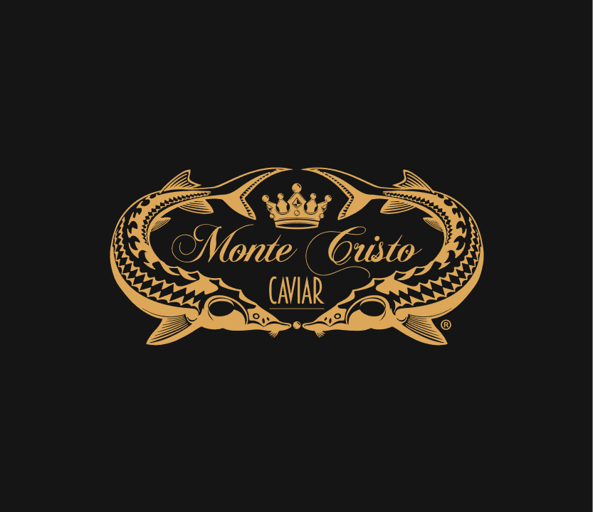 Monte Cristo logo on dark