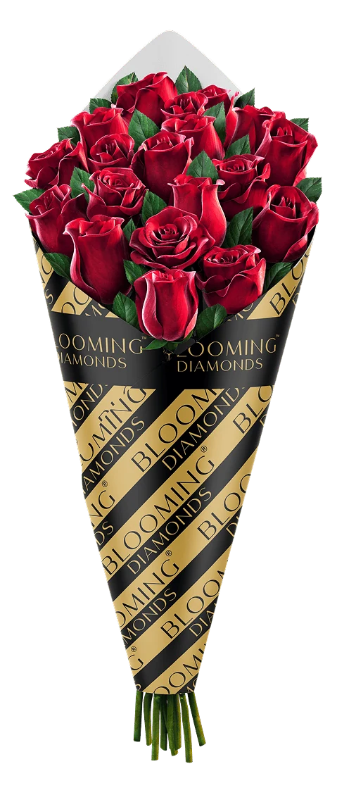Blooming Diamonds branding