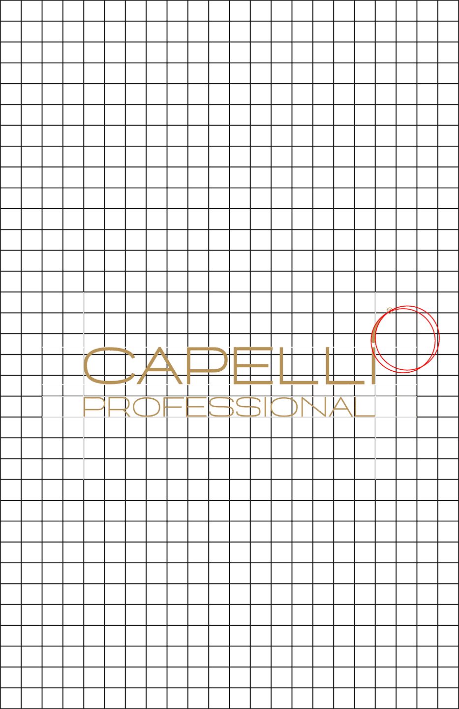 Capelli Professional logo construction