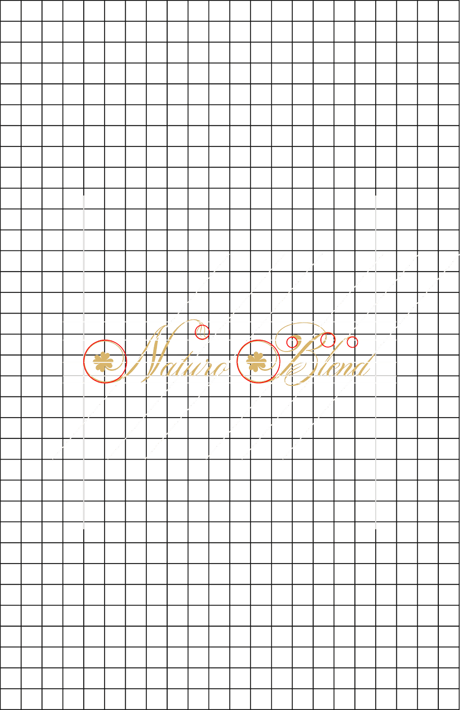 Naturo Blend logo construction